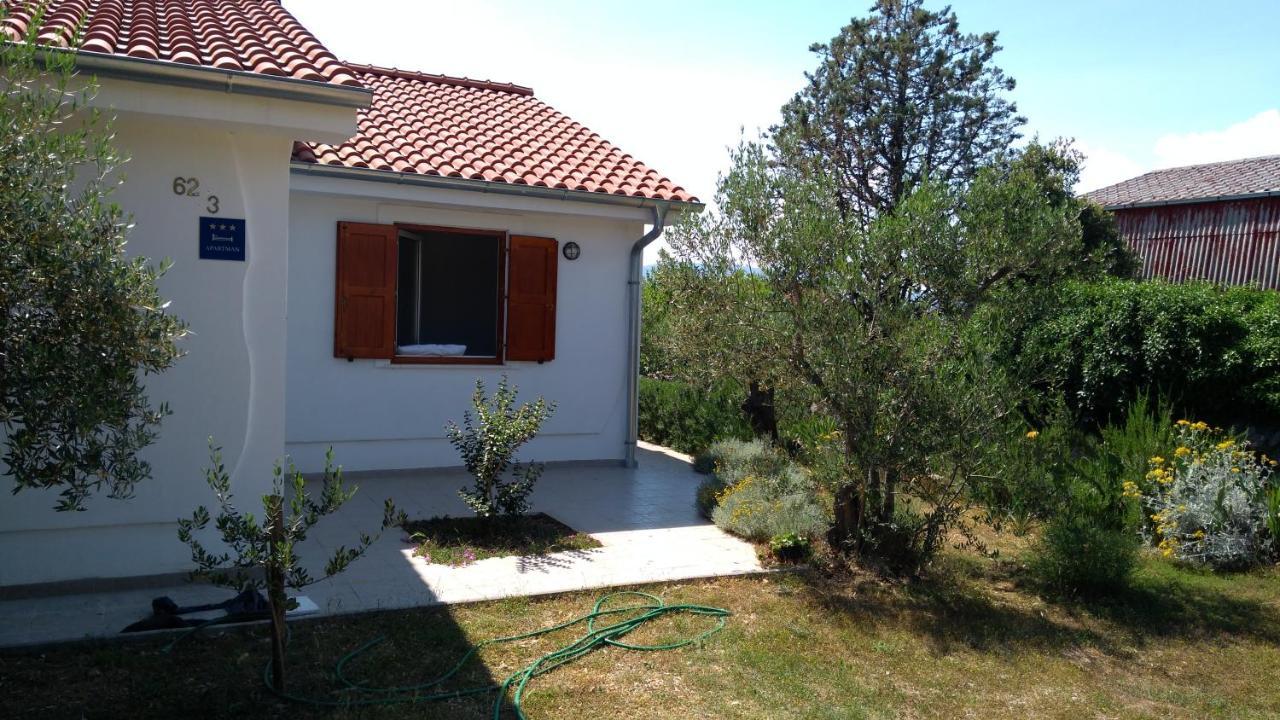 Apartman Ruža Brzac Bagian luar foto