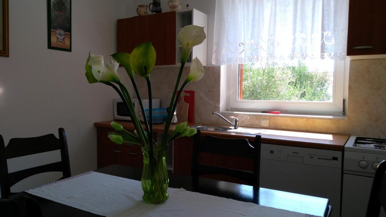 Apartman Ruža Brzac Bagian luar foto