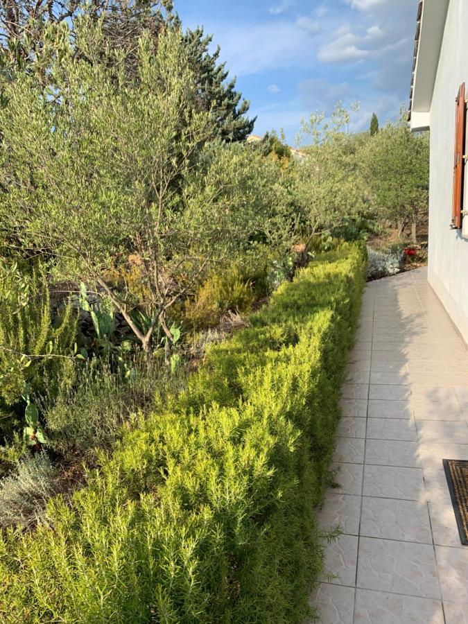 Apartman Ruža Brzac Bagian luar foto