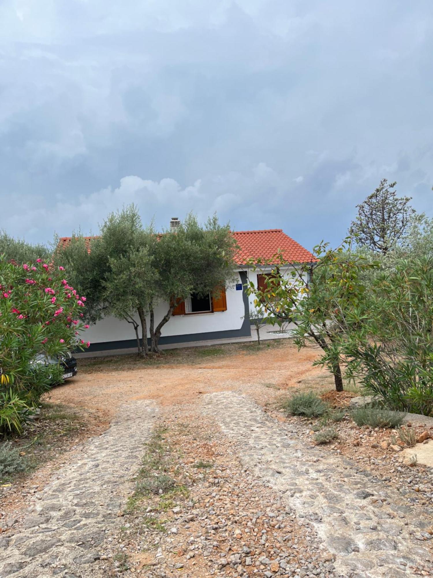Apartman Ruža Brzac Bagian luar foto