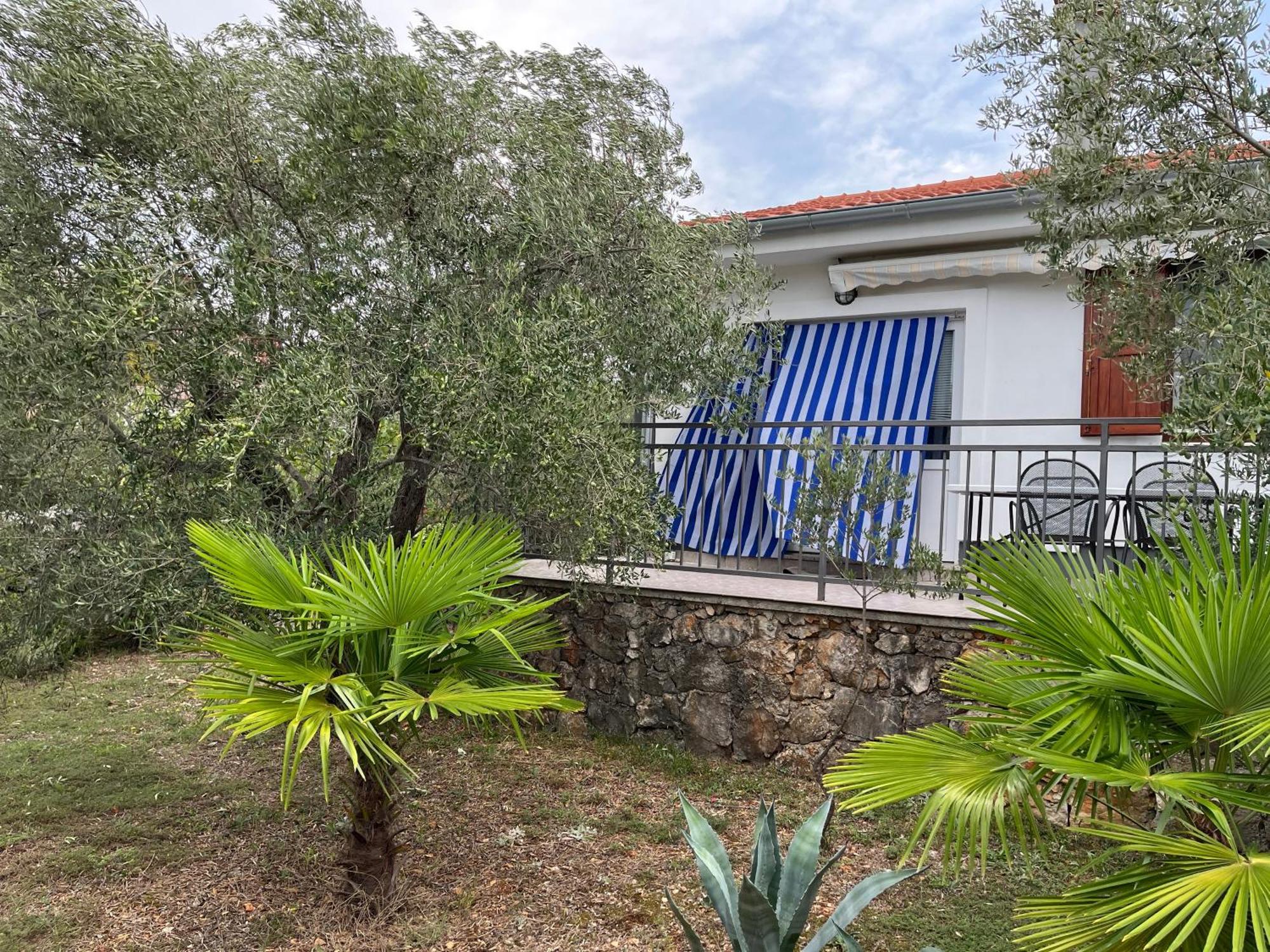 Apartman Ruža Brzac Bagian luar foto
